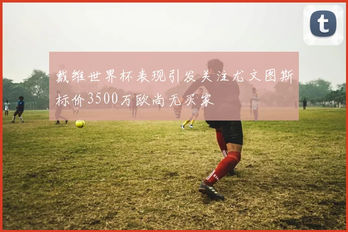 戴维世界杯表现引发关注尤文图斯标价3500万欧尚无买家